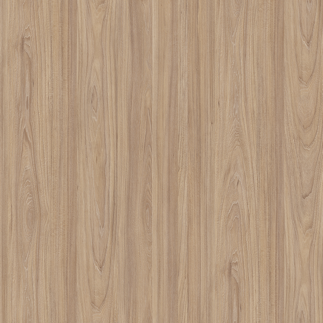 5500SU - Olmo Noble N