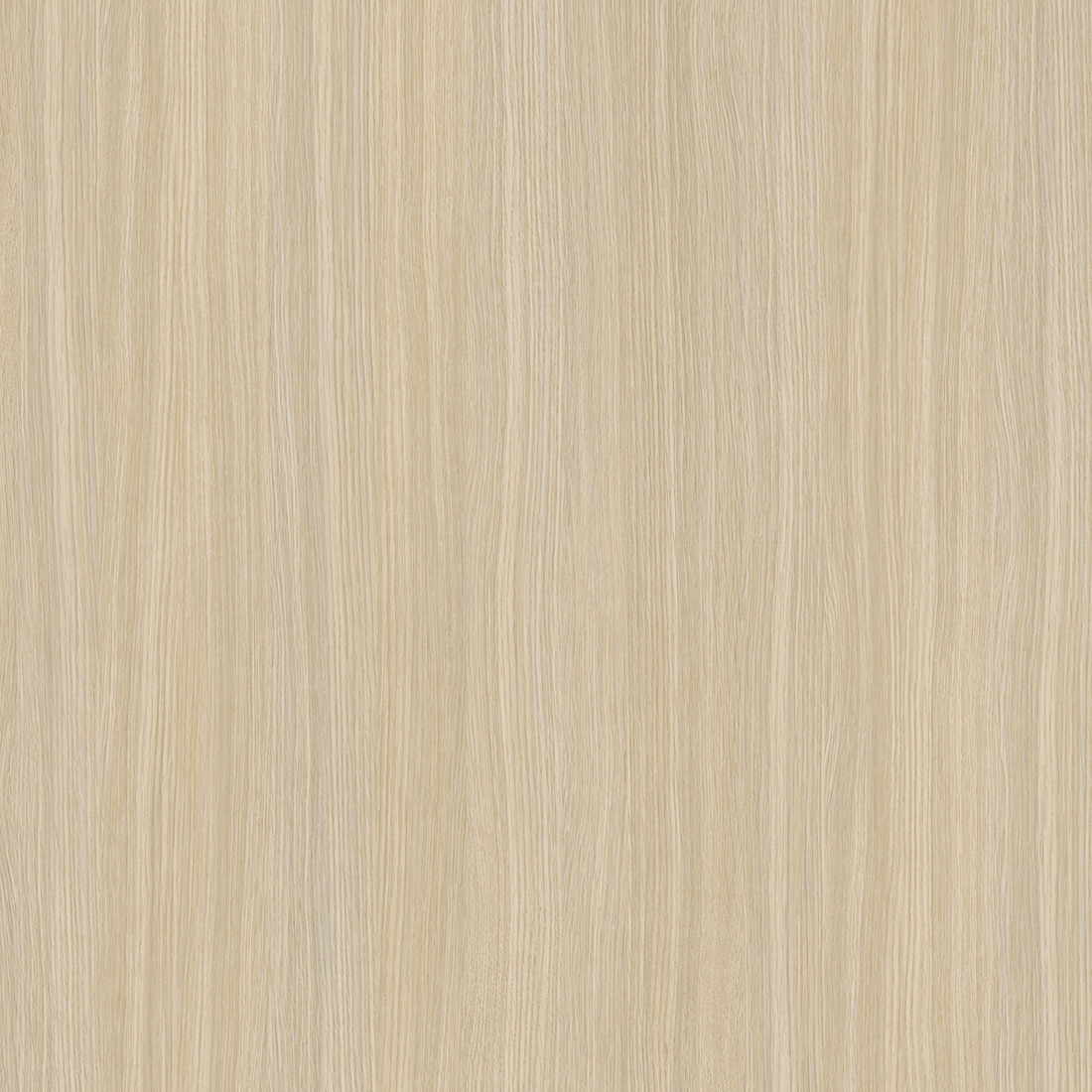 8921PR - Roble Ferrara