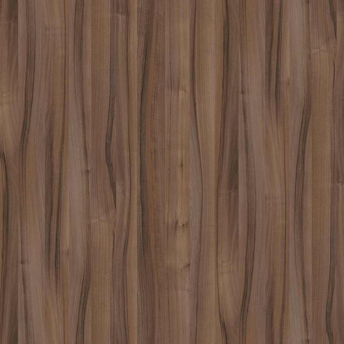 8953SU - Nogal Tiepolo