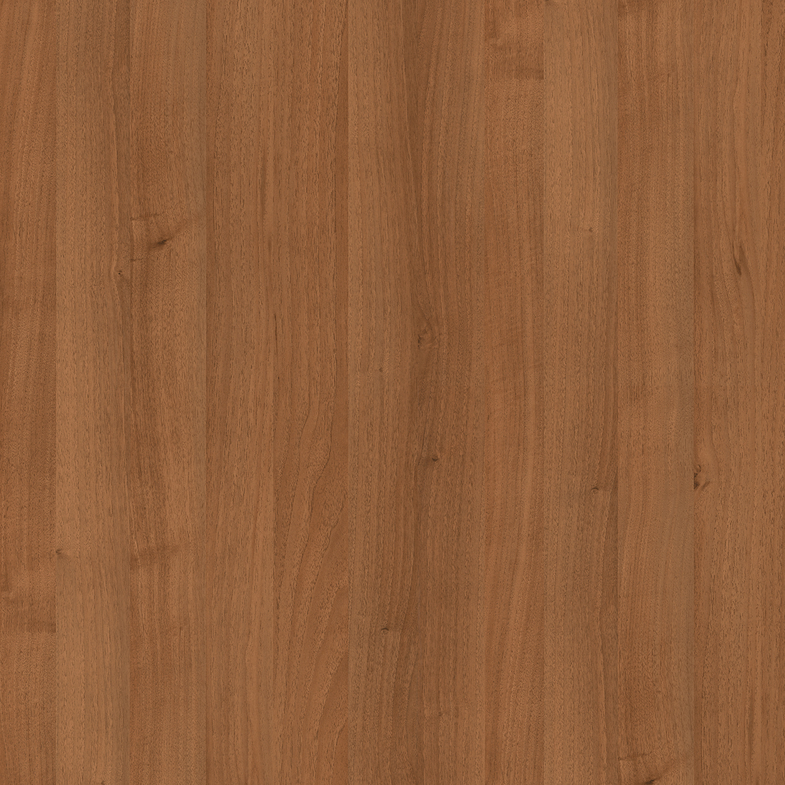 9455PR - Nogal Select