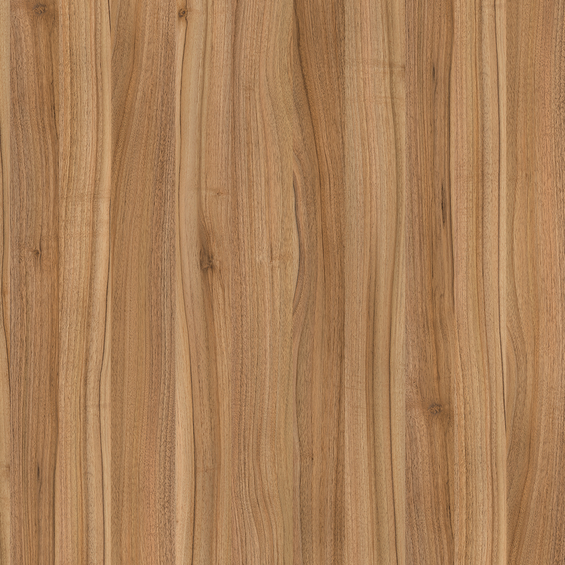 9614BS - Nogal Lion Claro