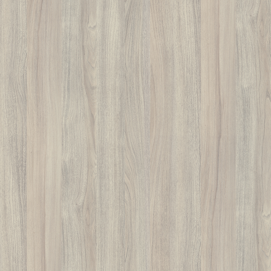 K019PW - Silver Liberty E